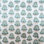 Peto unisex cactus